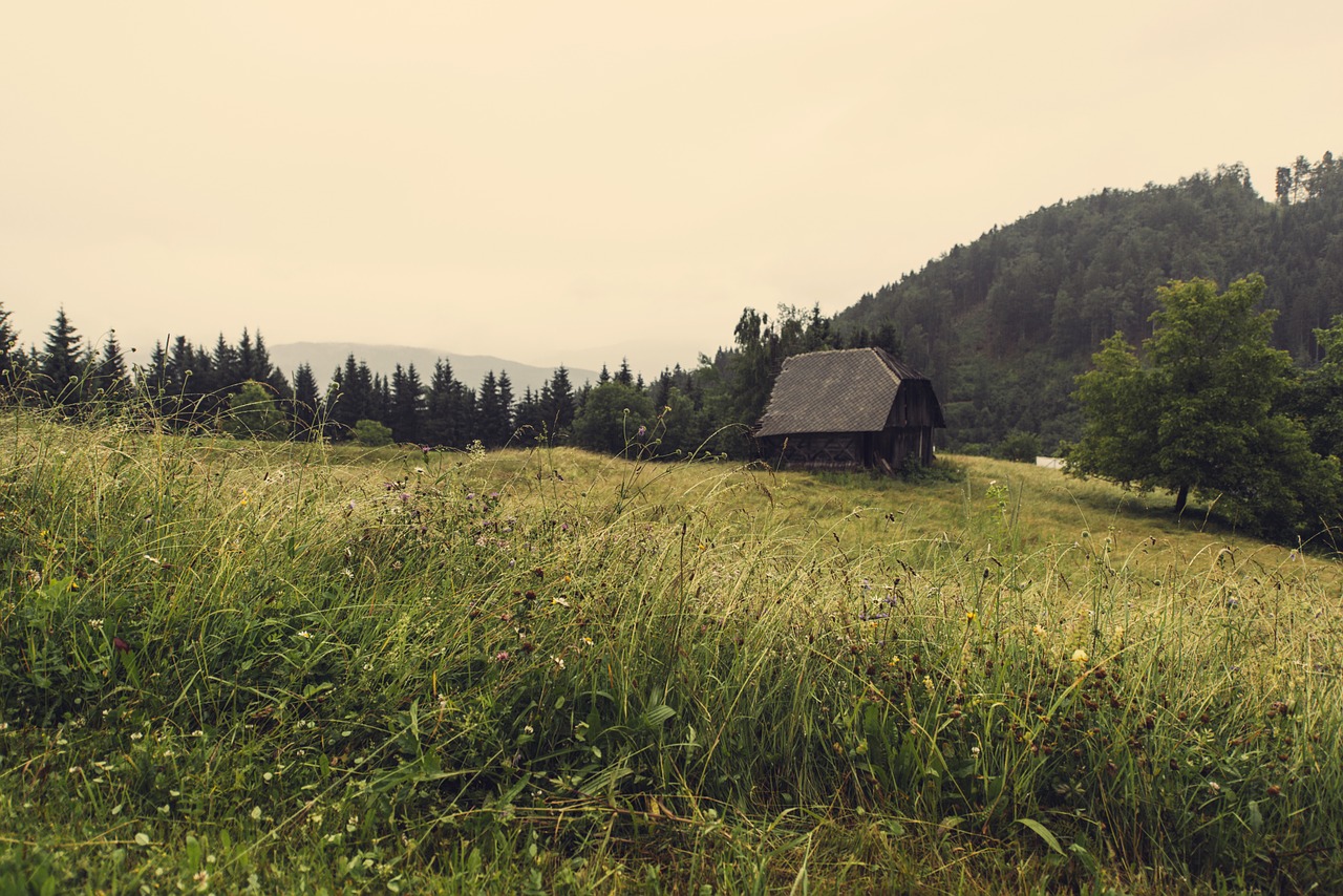 hut shed meadow free photo