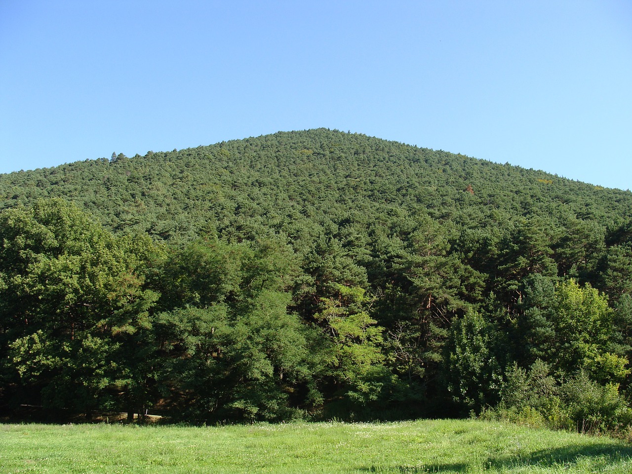 hüttenberg palatinate forest hill free photo