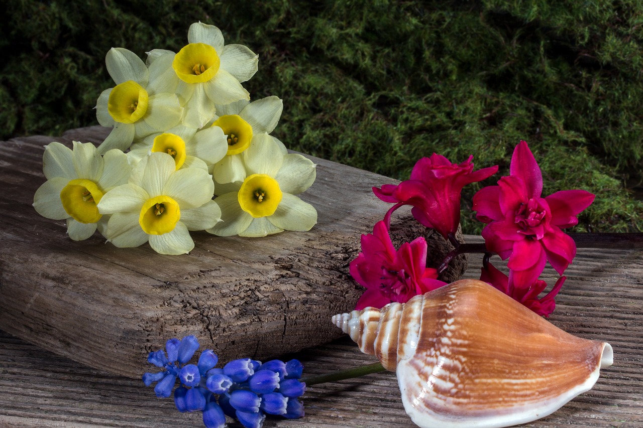 hyacinth wood wooden board free photo