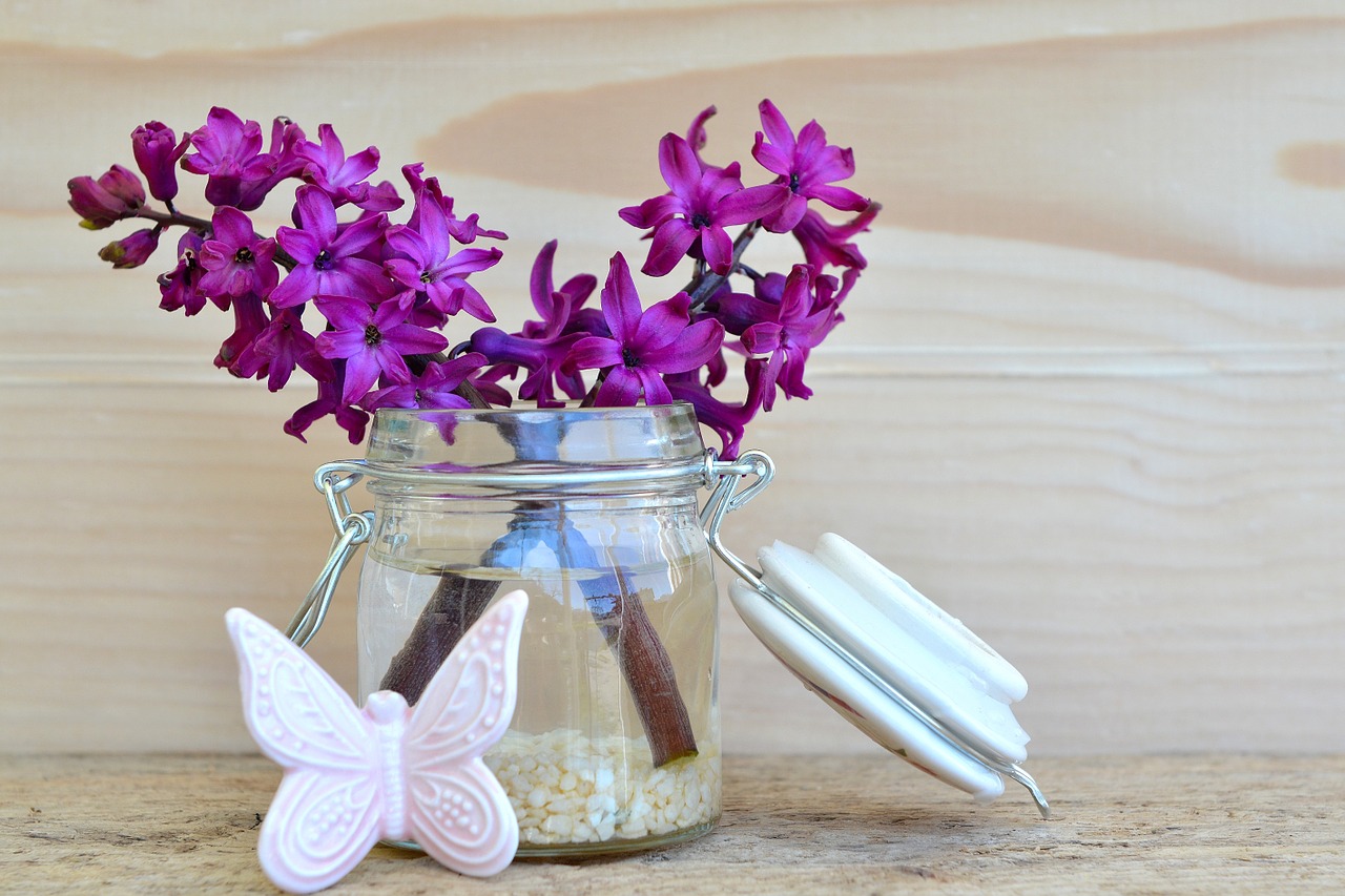 hyacinth flower blossom free photo