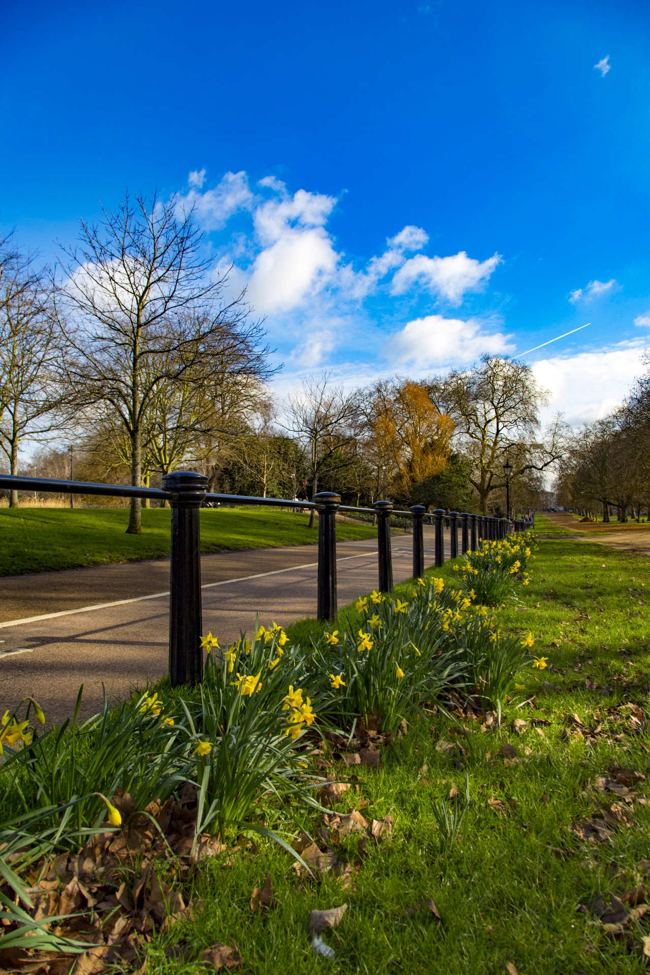 park hyde london free photo