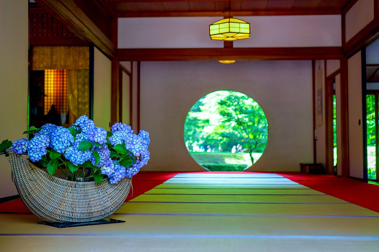 hydrangea kamakura the bright moon of free photo