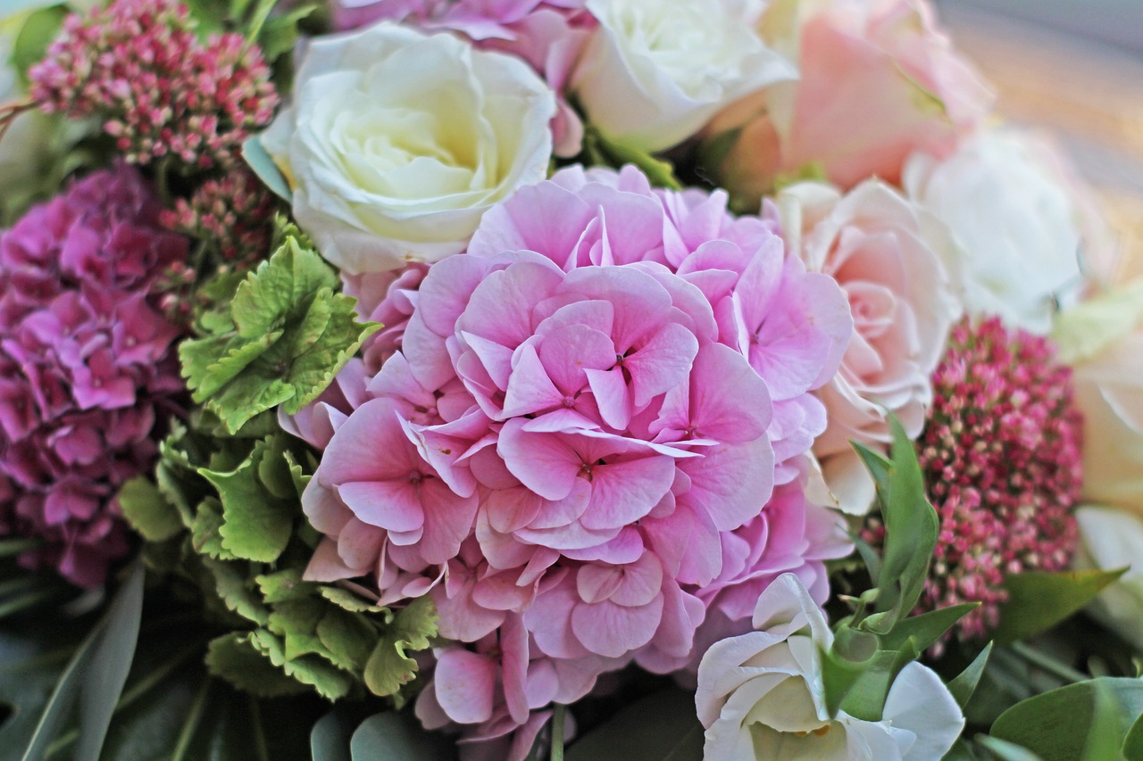 hydrangea  bouquet  pink hydrangea free photo