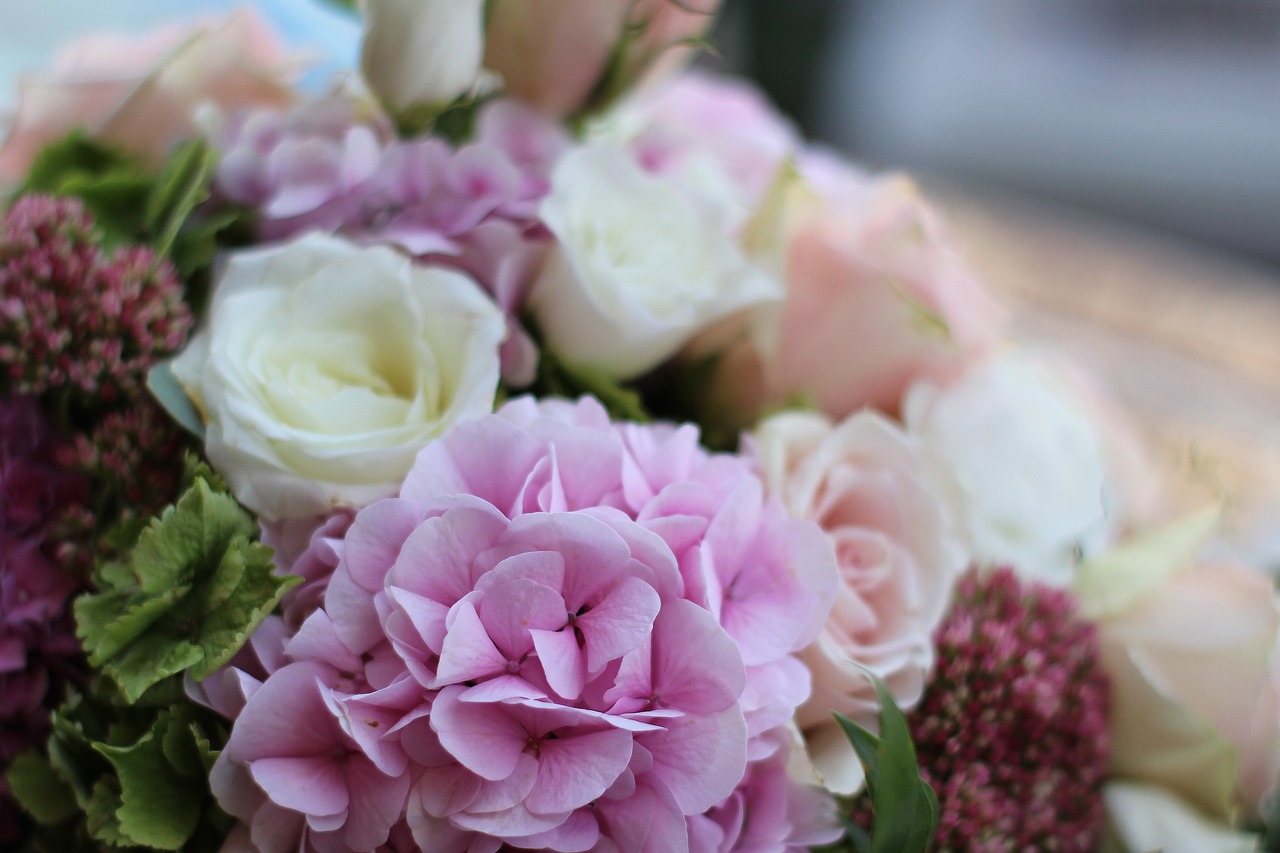 hydrangea  bouquet  pink hydrangea free photo