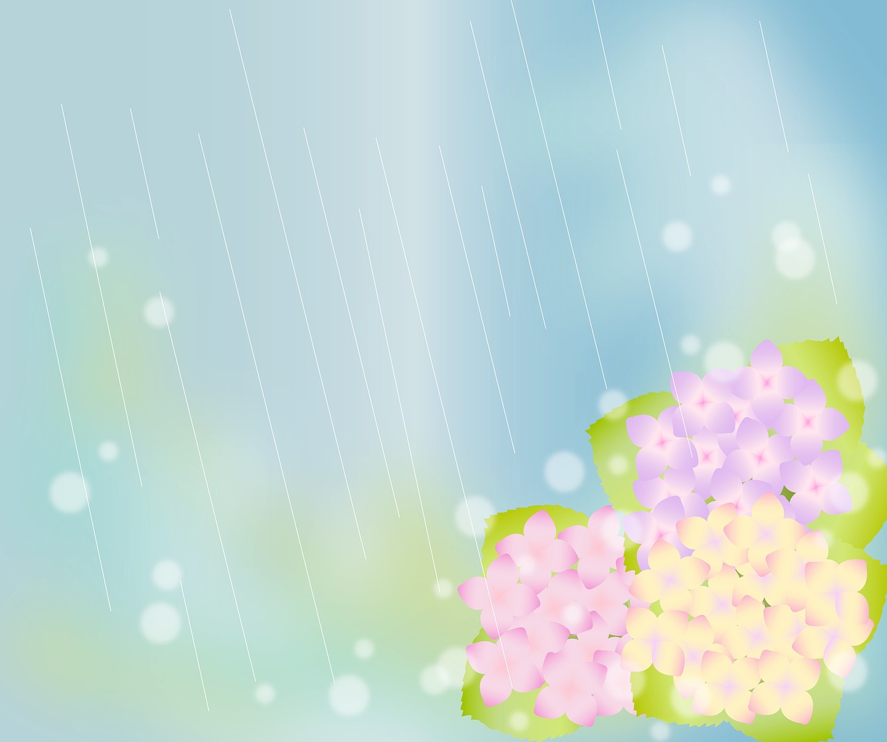 hydrangeas  rainy background  blurred background free photo