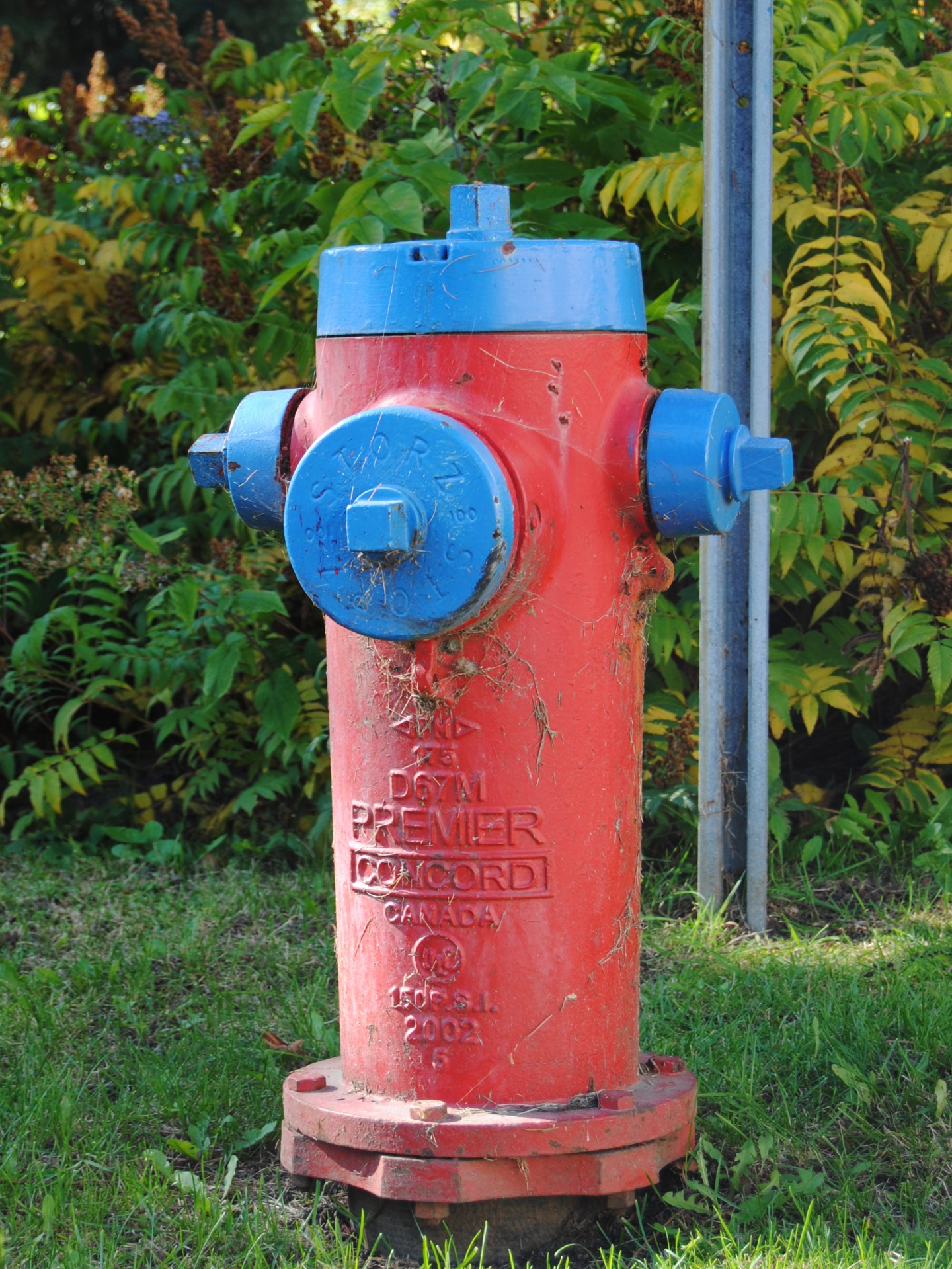 hydrant red fire free photo