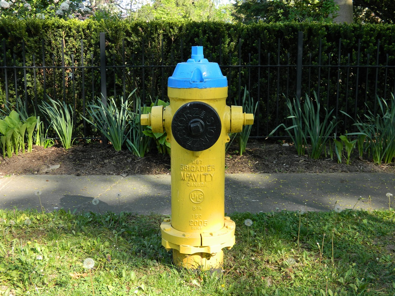 hydrant water connection fire extinguishing system free photo