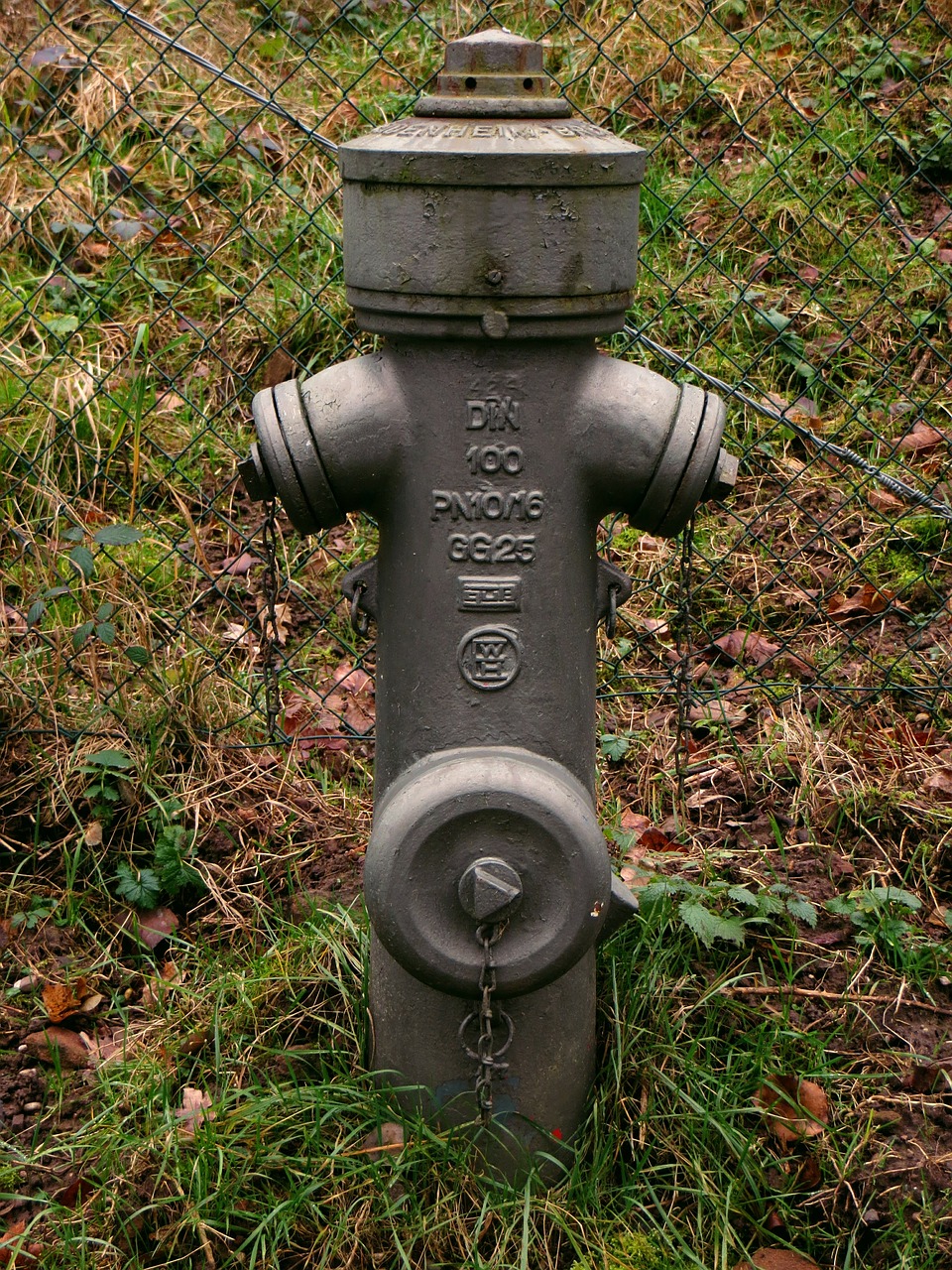 hydrant water hydrant metal free photo