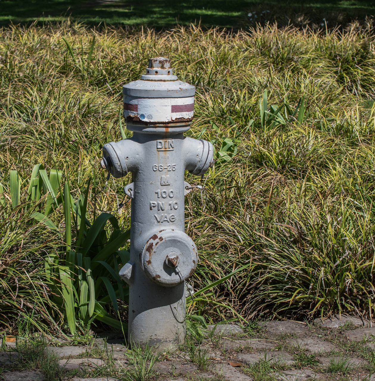 hydrant  water  grass free photo