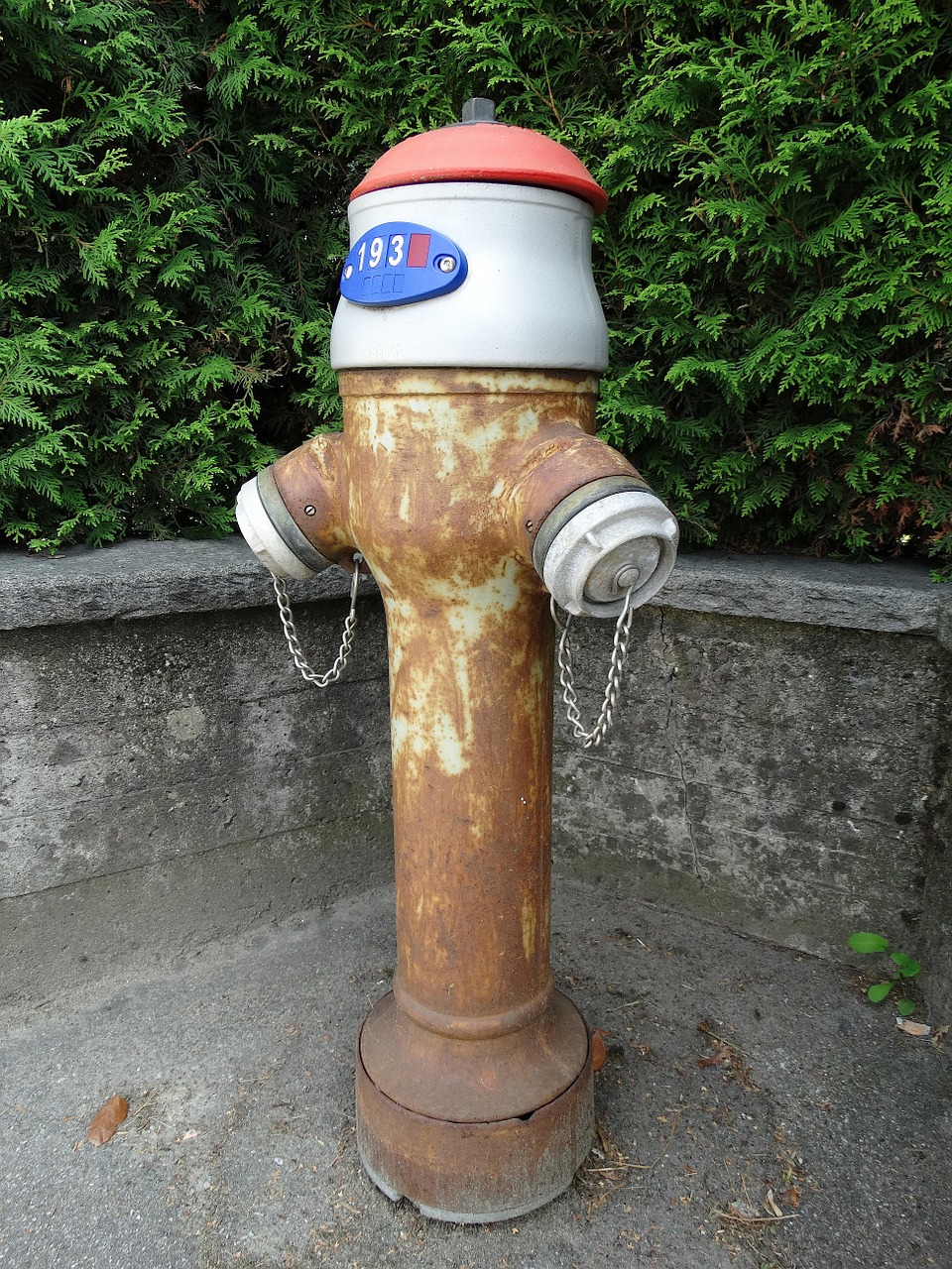 hydrant water fire free photo
