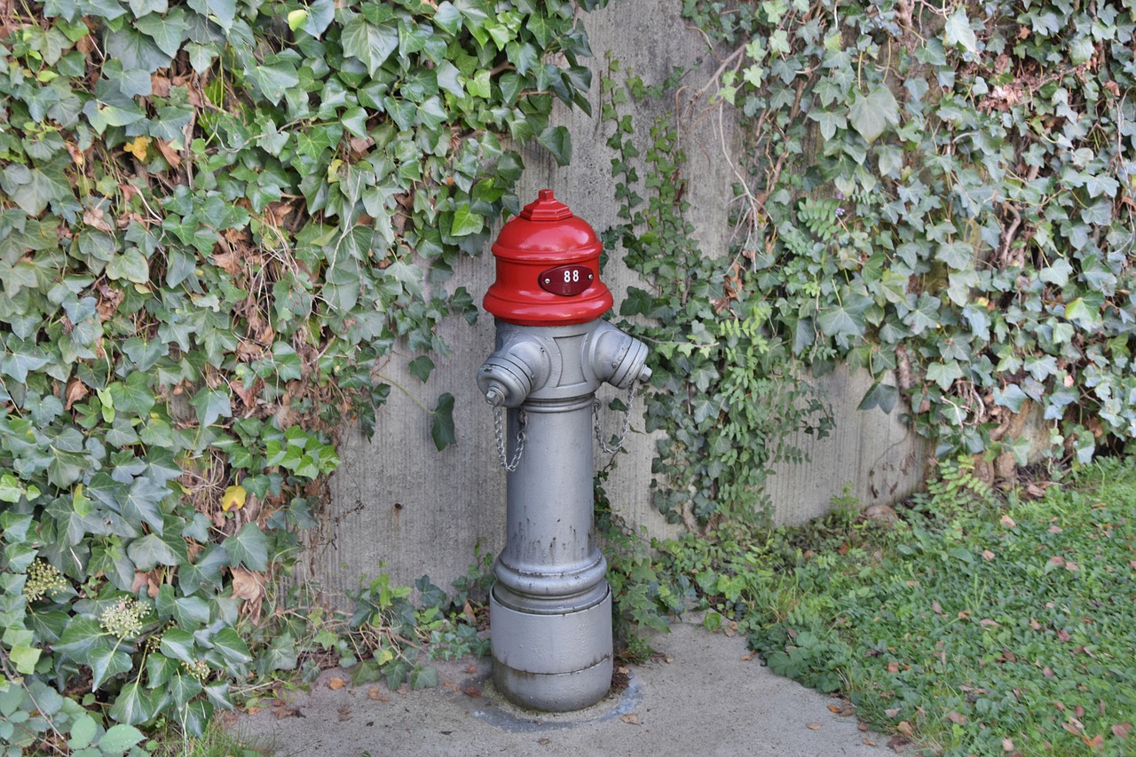 hydrant red metal free photo