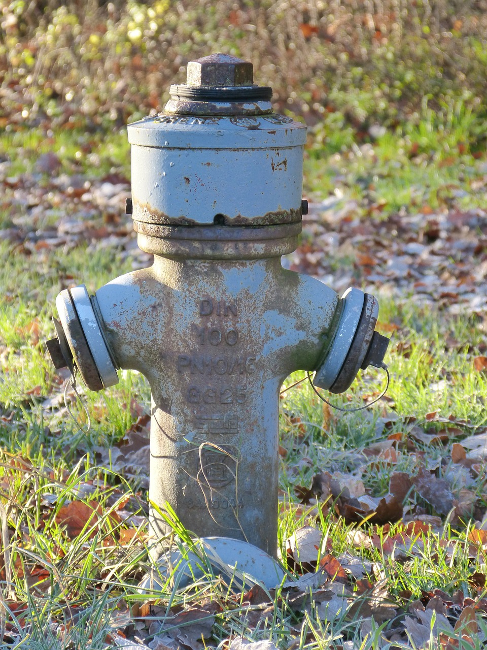 hydrant water metal free photo