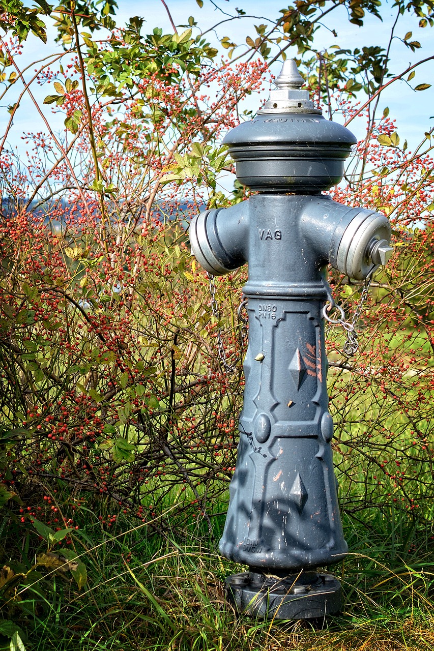 hydrant water distribution free photo