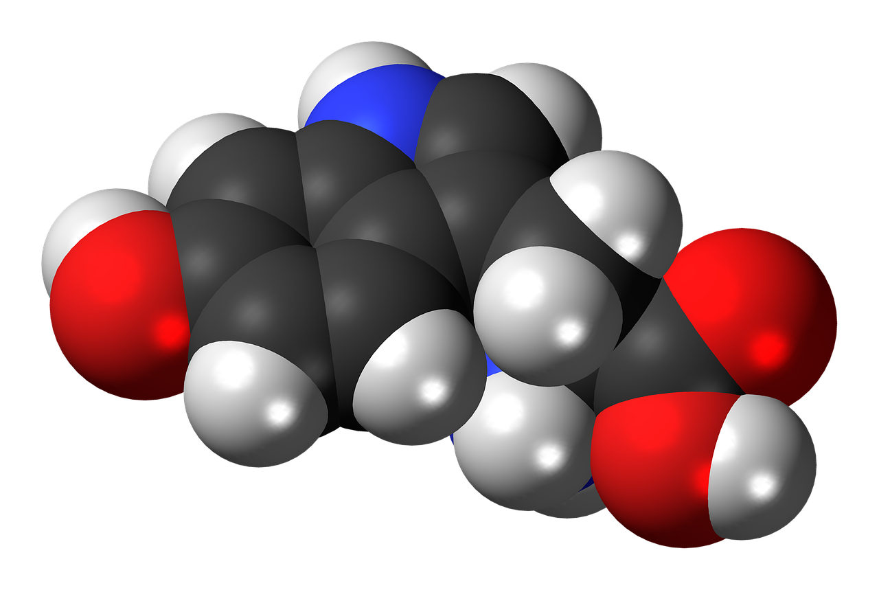 hydroxytryptophan chemistry atoms free photo