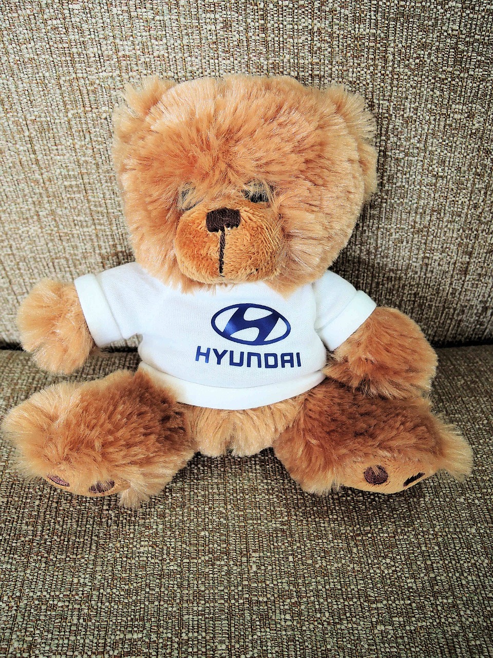 hyundai teddy bear soft cuddly free photo