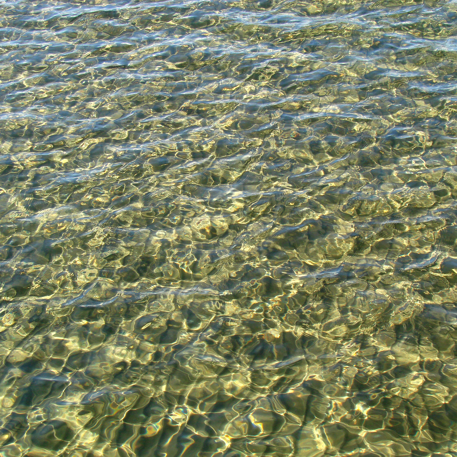 shoreline water crisp free photo