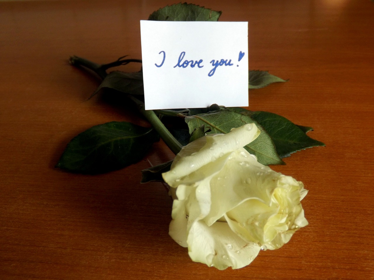i love you rose message free photo