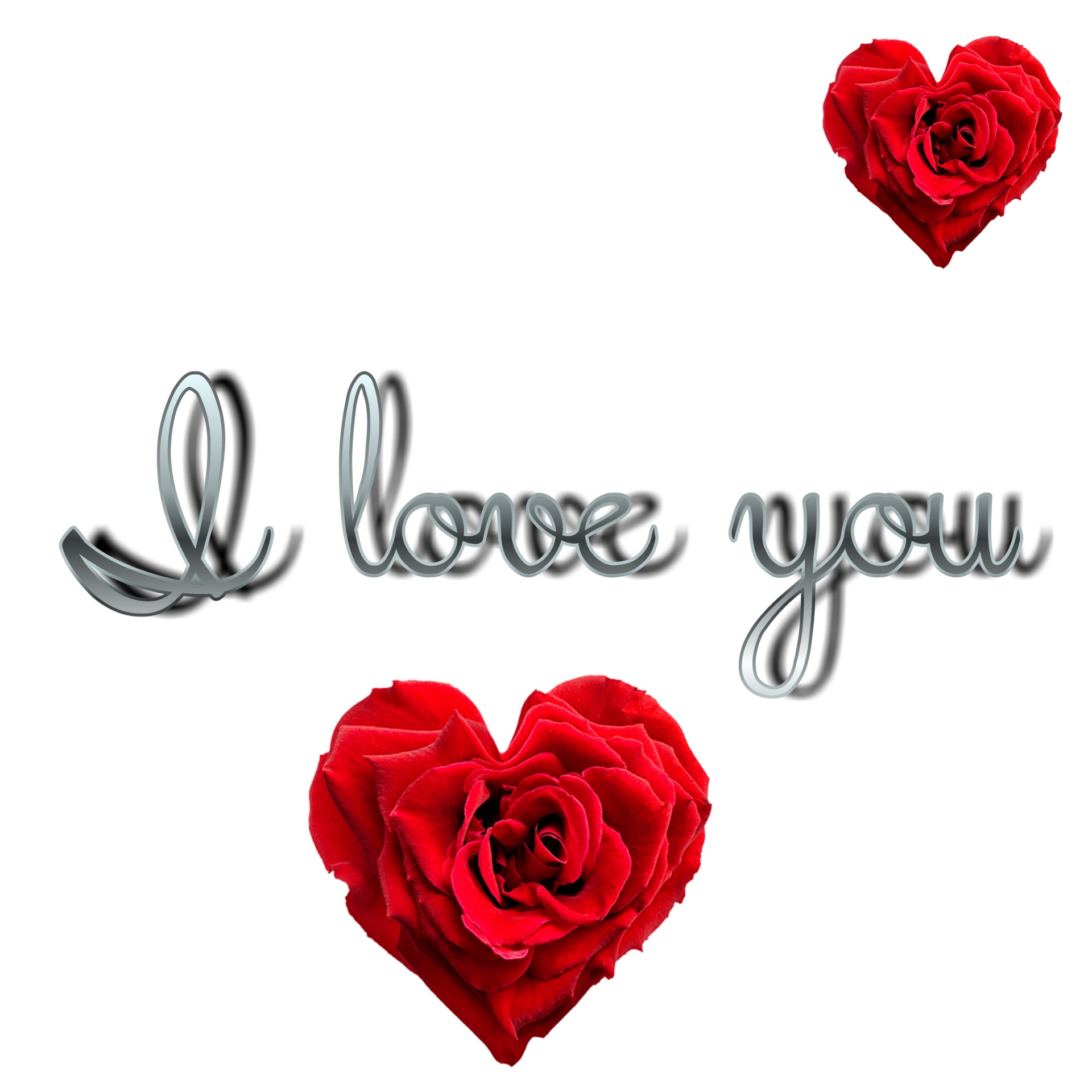 love you text free photo