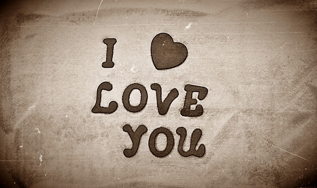 i love you heart valentine free photo