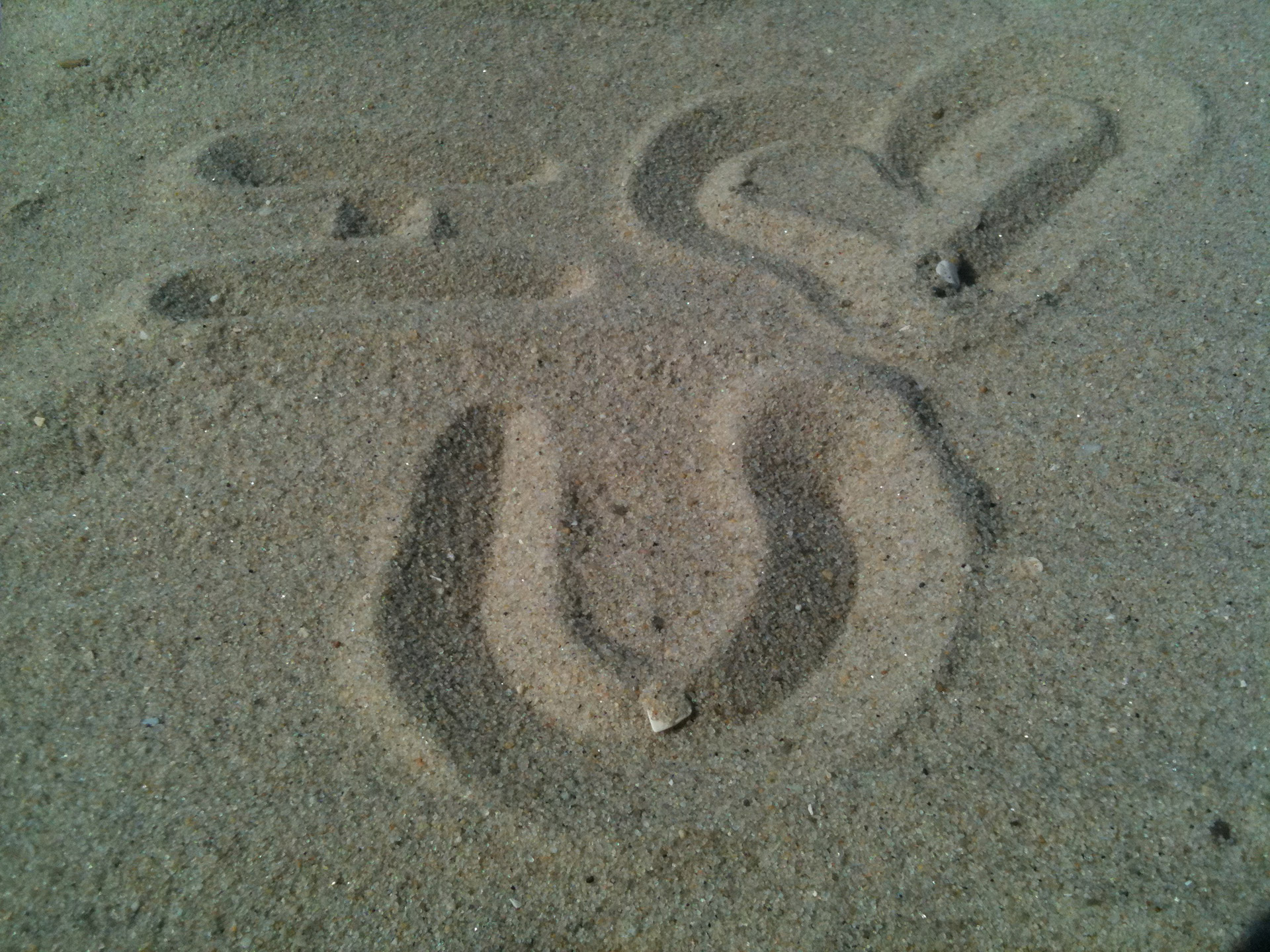 beach sand summer free photo