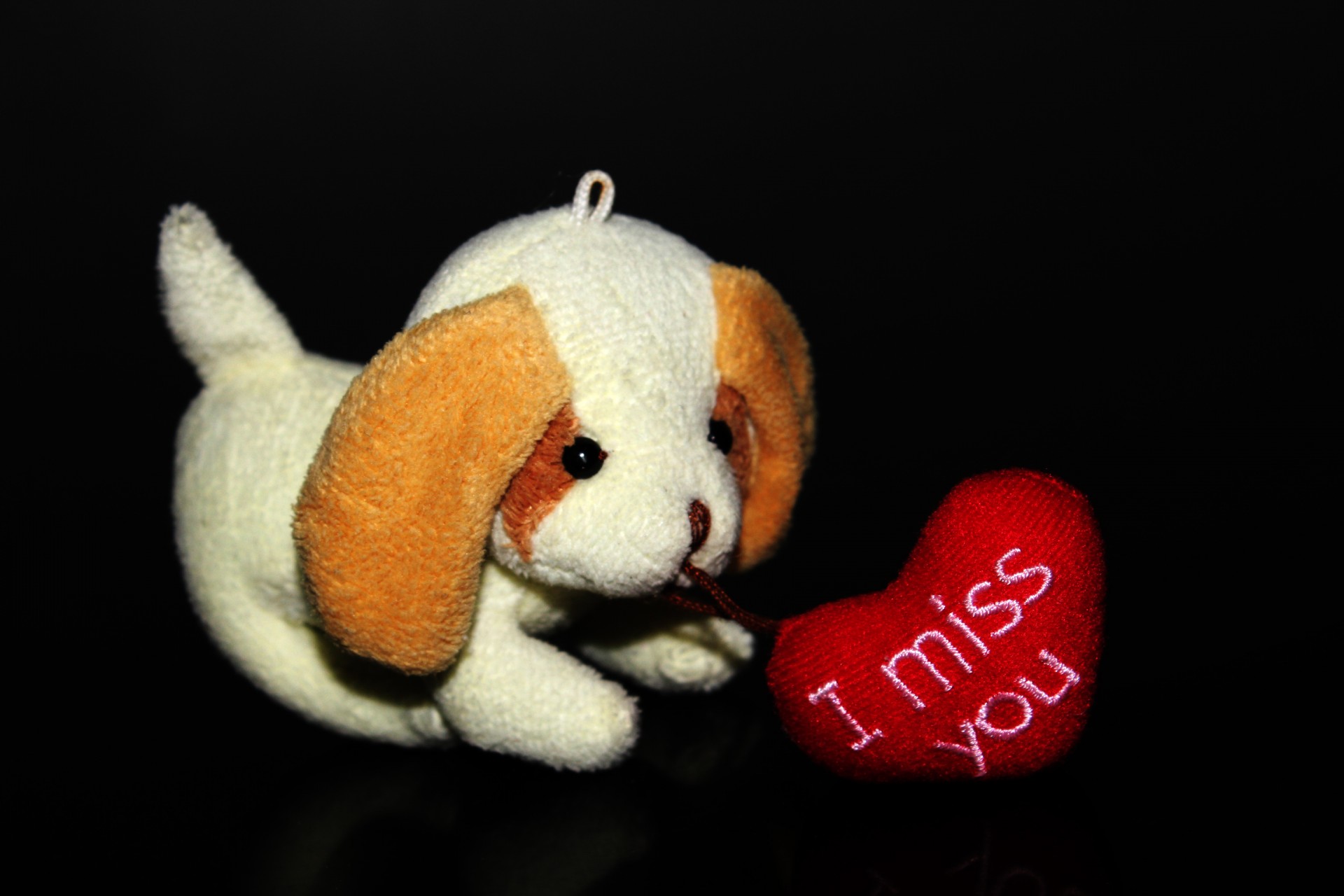 i miss you puppy heart free photo