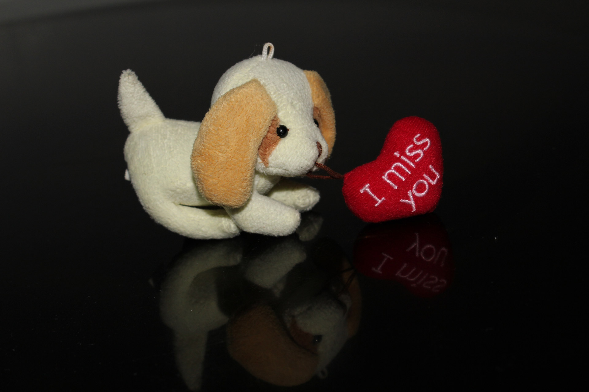 heart cute puppy stuff toy free photo