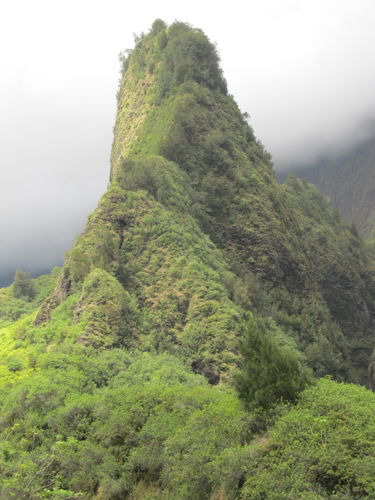 iao valley needle free photo