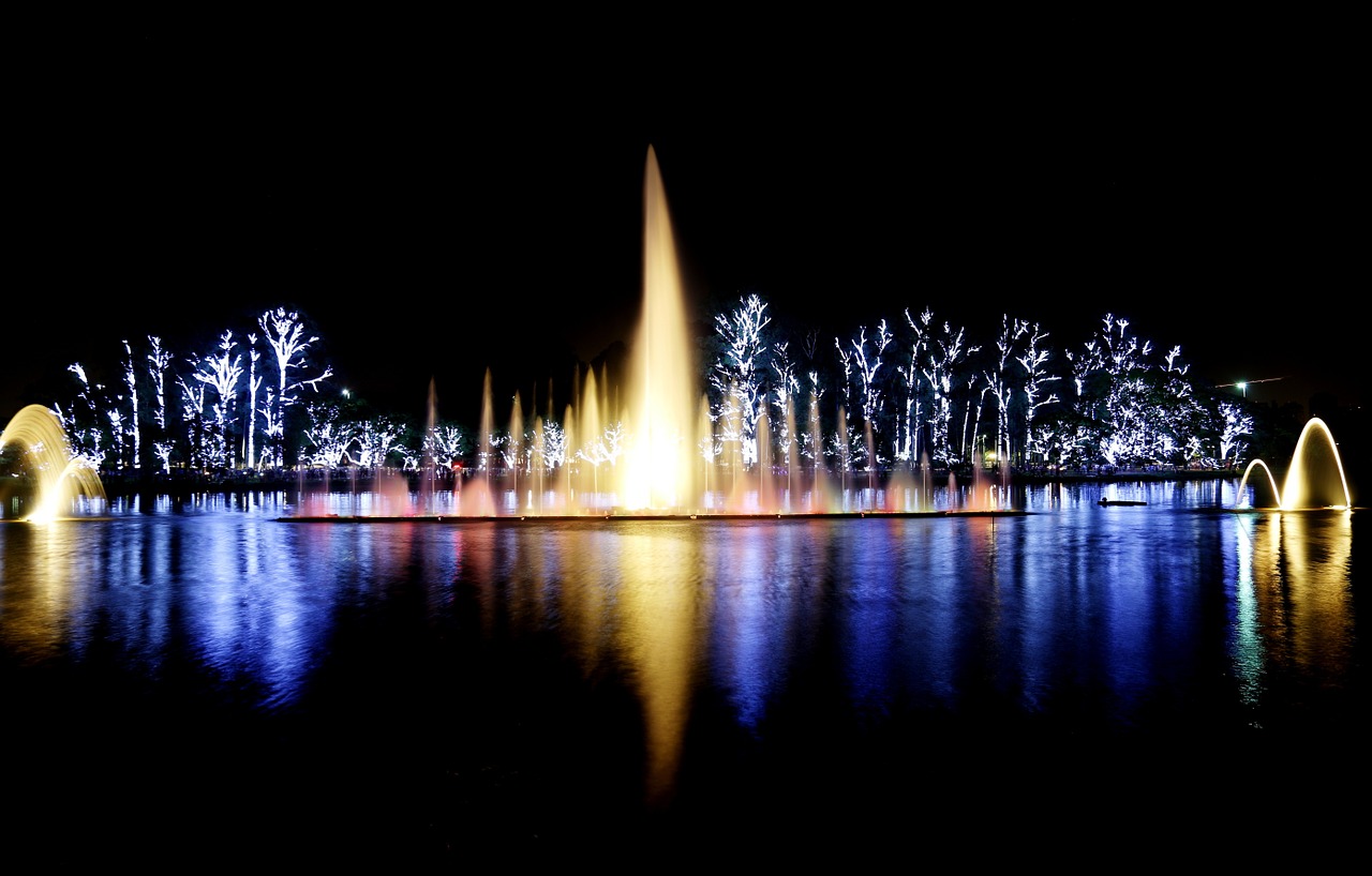 ibirapuera park lights night free photo