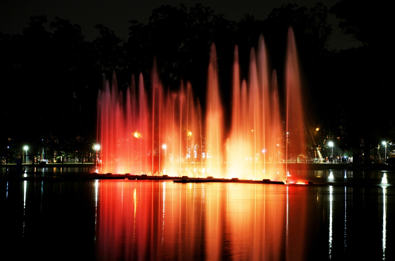 ibirapuera park lights night free photo