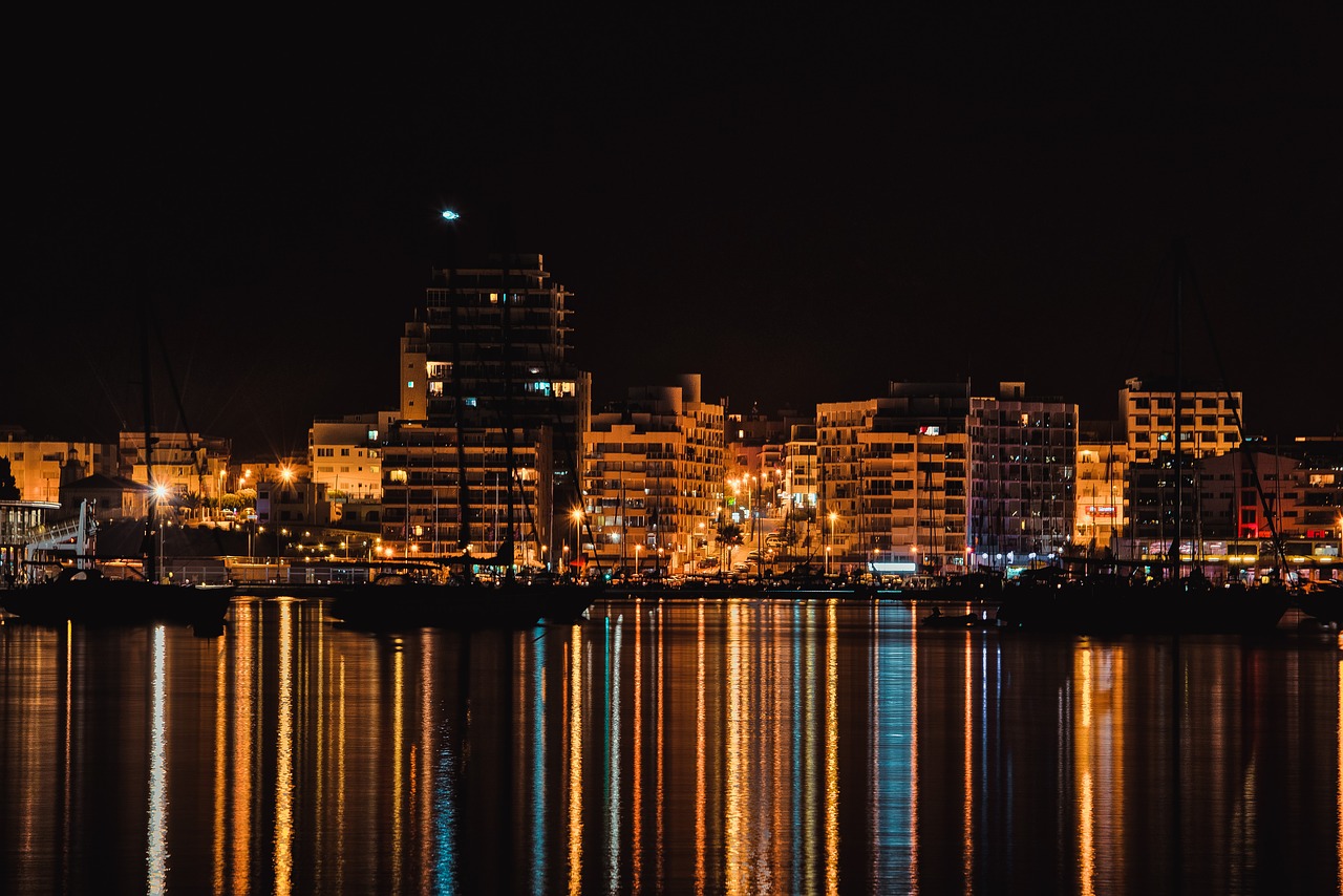 ibiza city night free photo