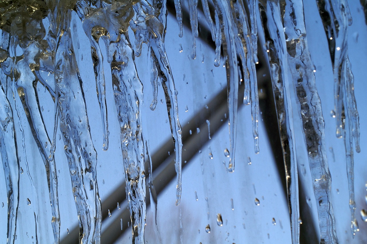 ice icicle dew free photo