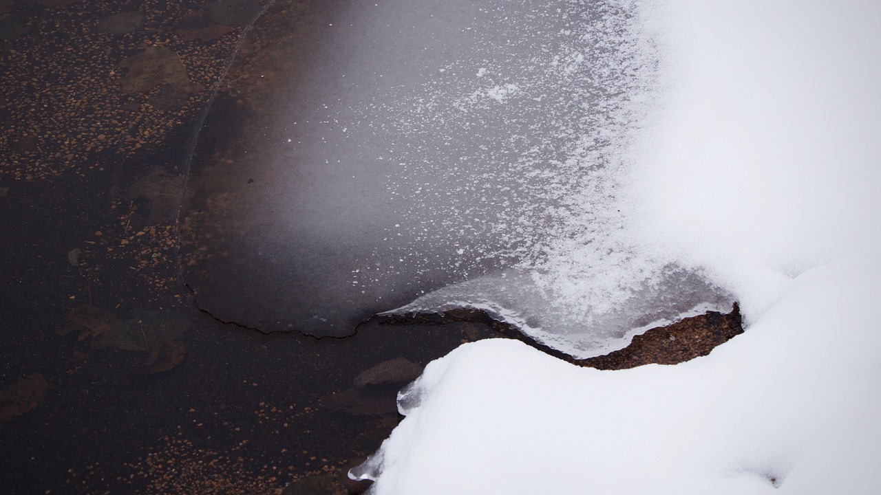 ice water shore free photo