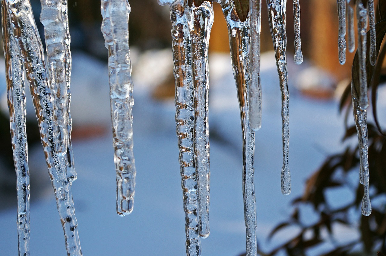 ice ice age icicle free photo