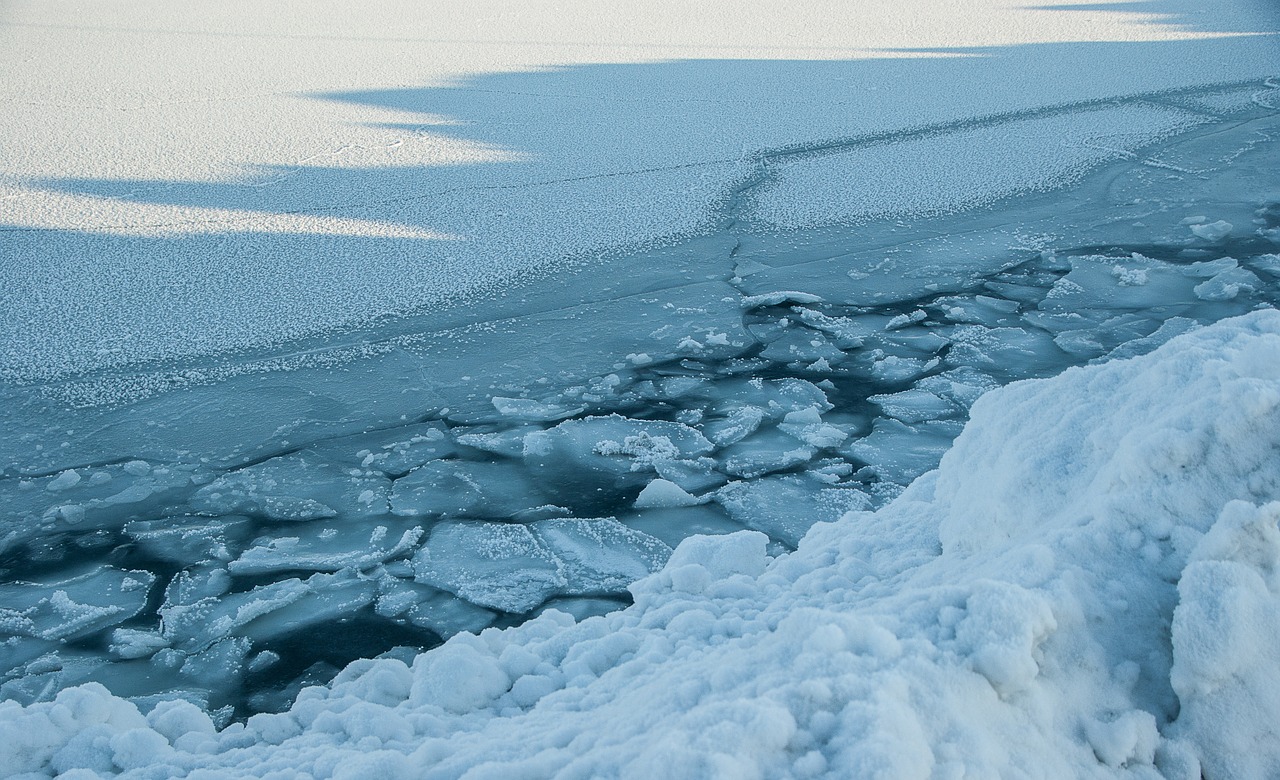 ice ice floe sea jelly free photo