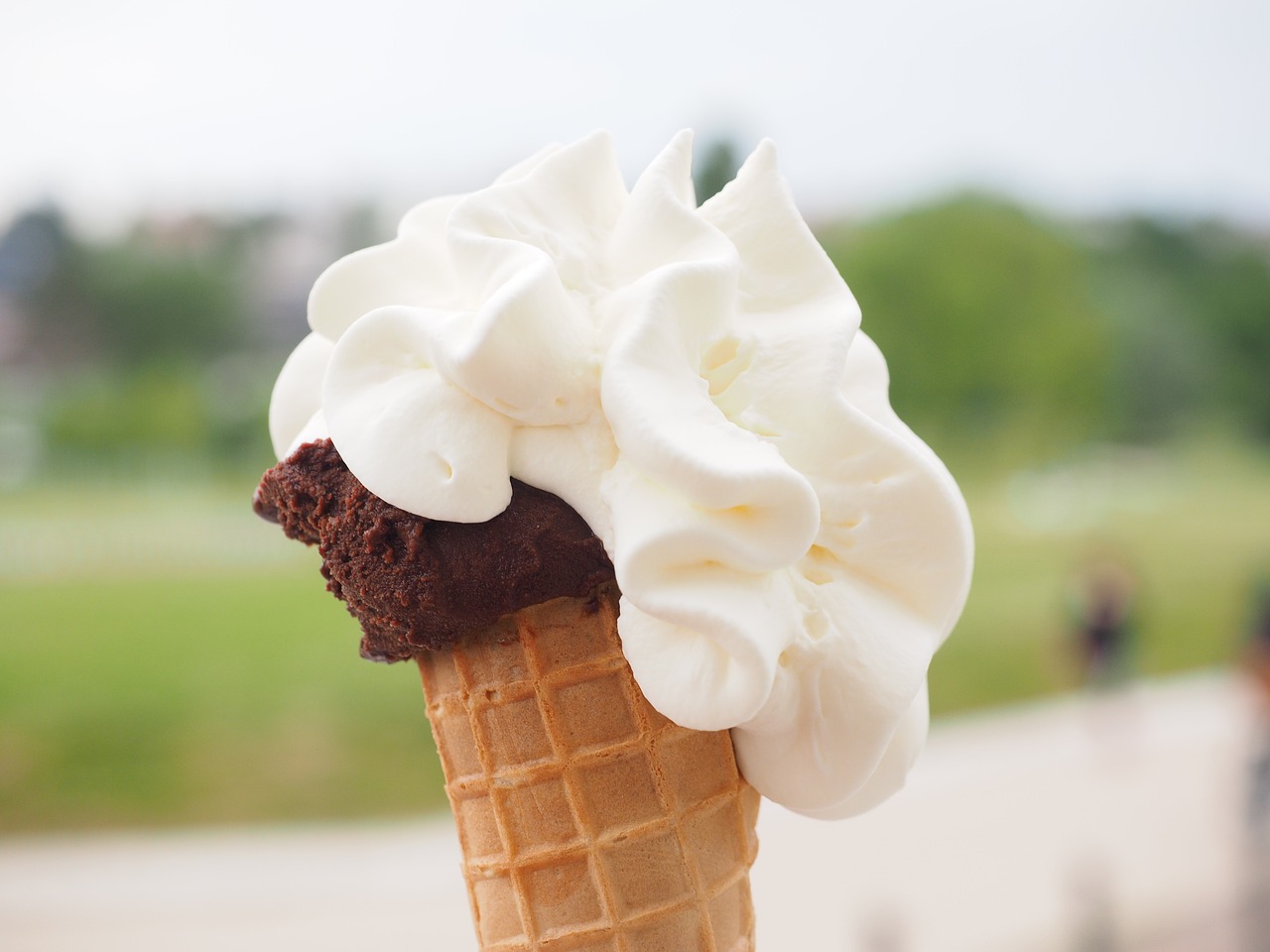 ice soft ice cream waffle ice cream free photo