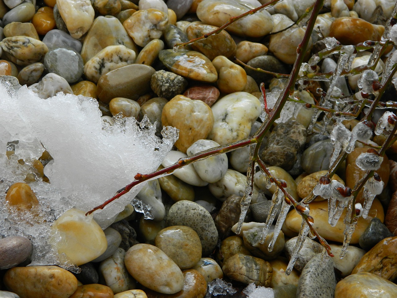 ice snow icicle free photo