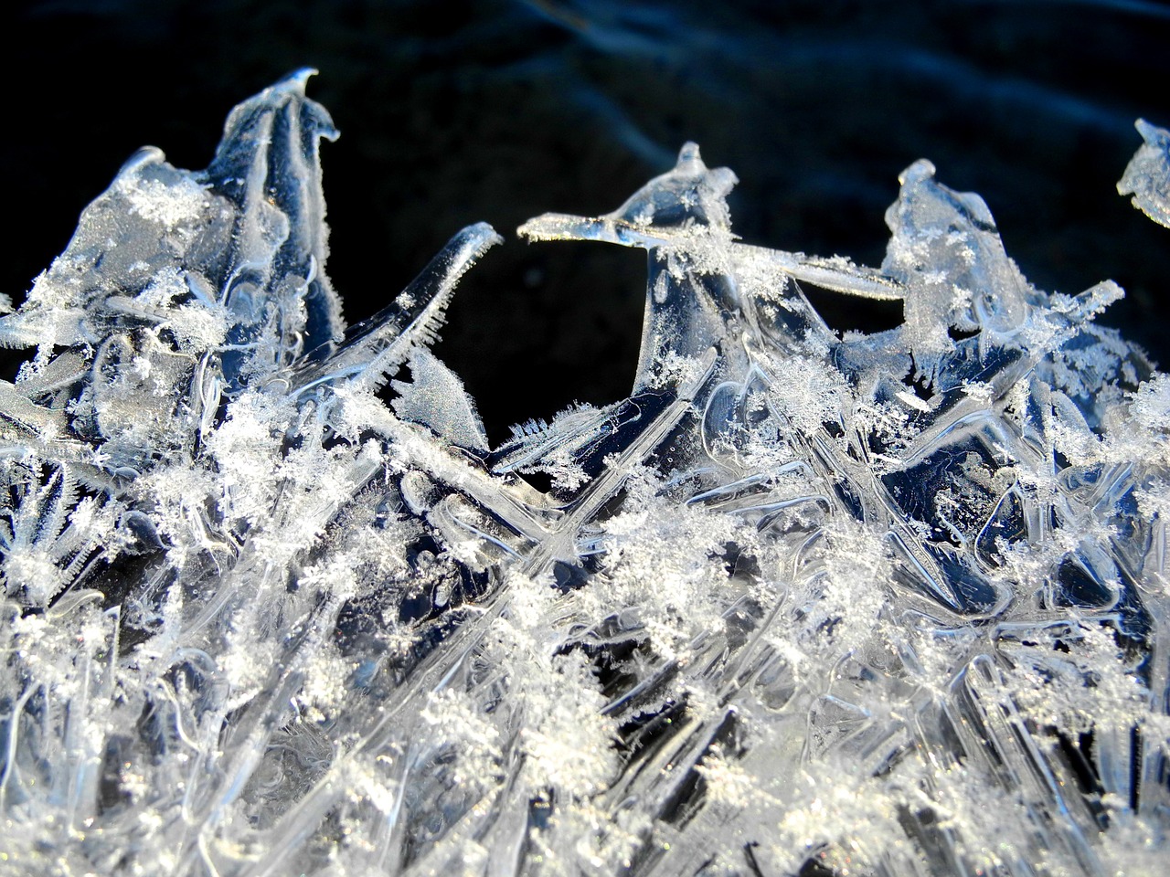 ice crystals winter free photo