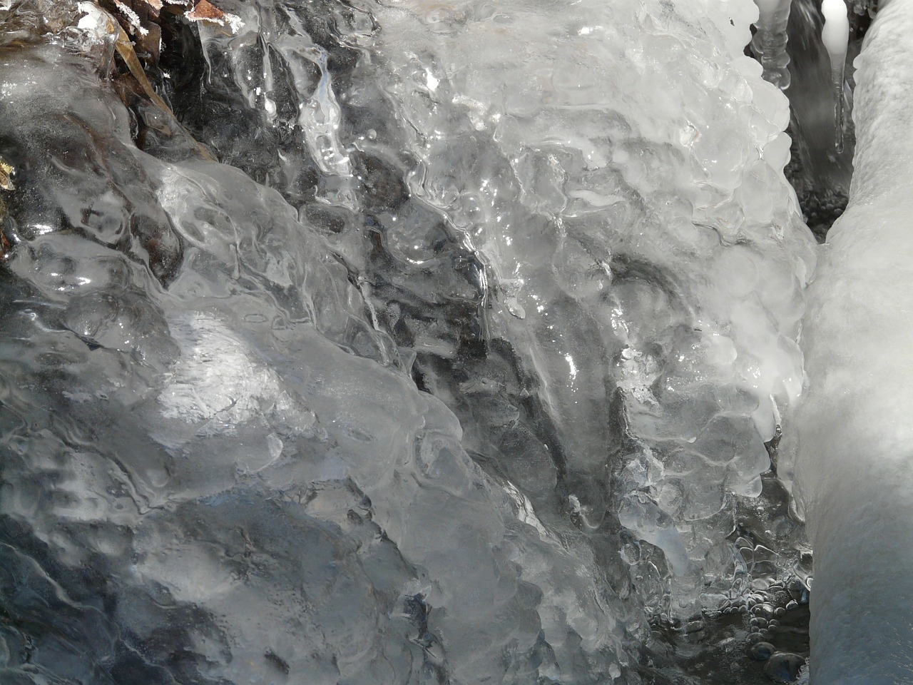 ice icicle frozen free photo