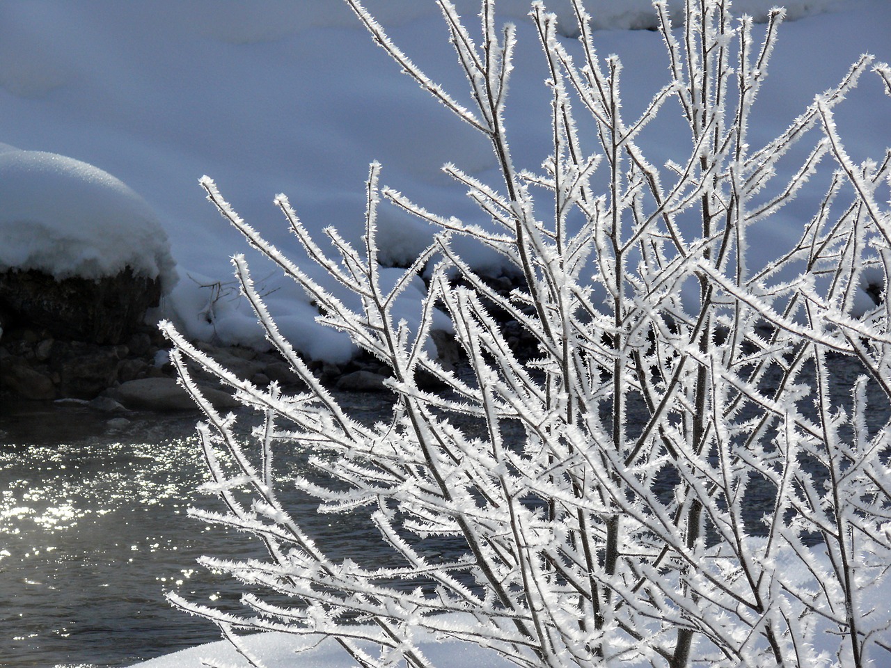 ice eiskristalle winter free photo