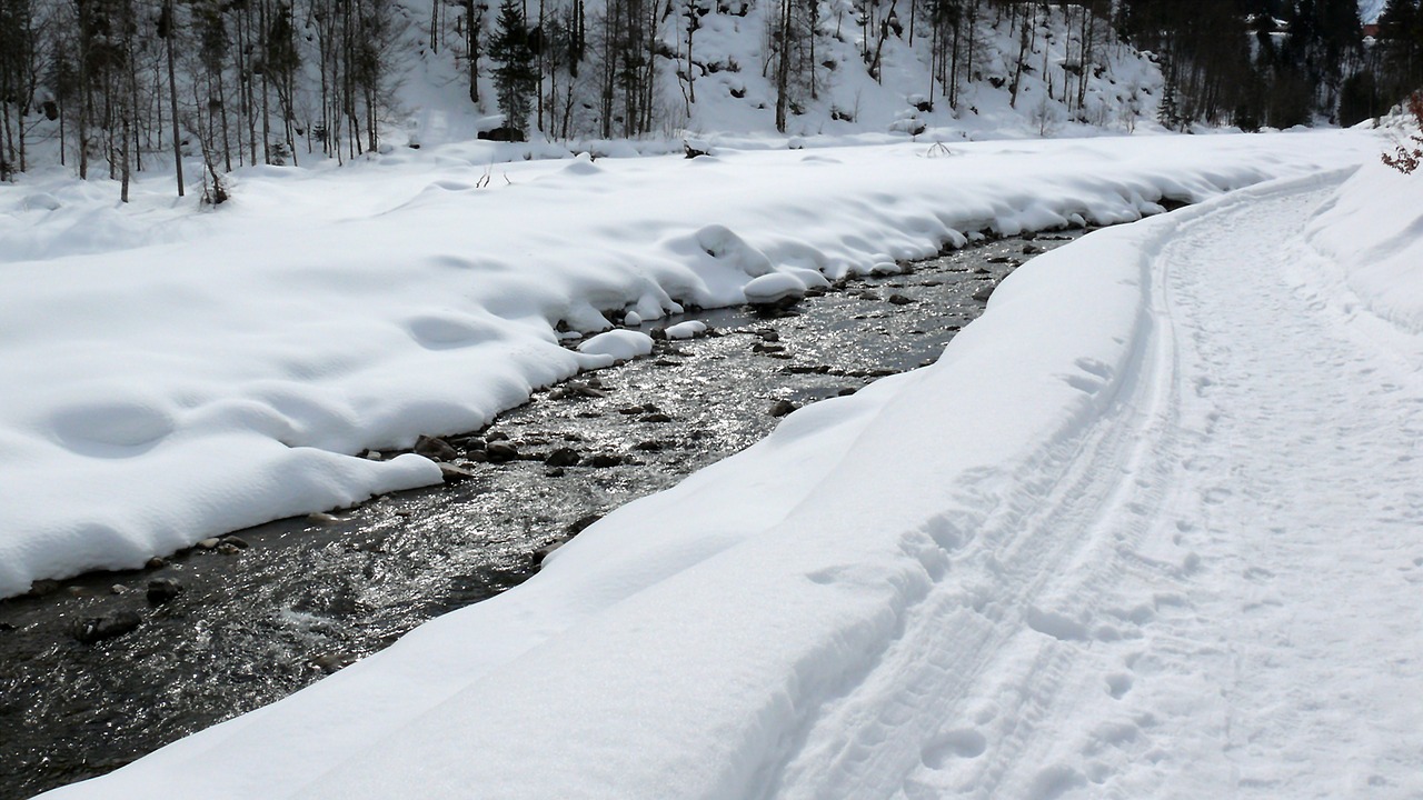 ice eiskristalle winter free photo