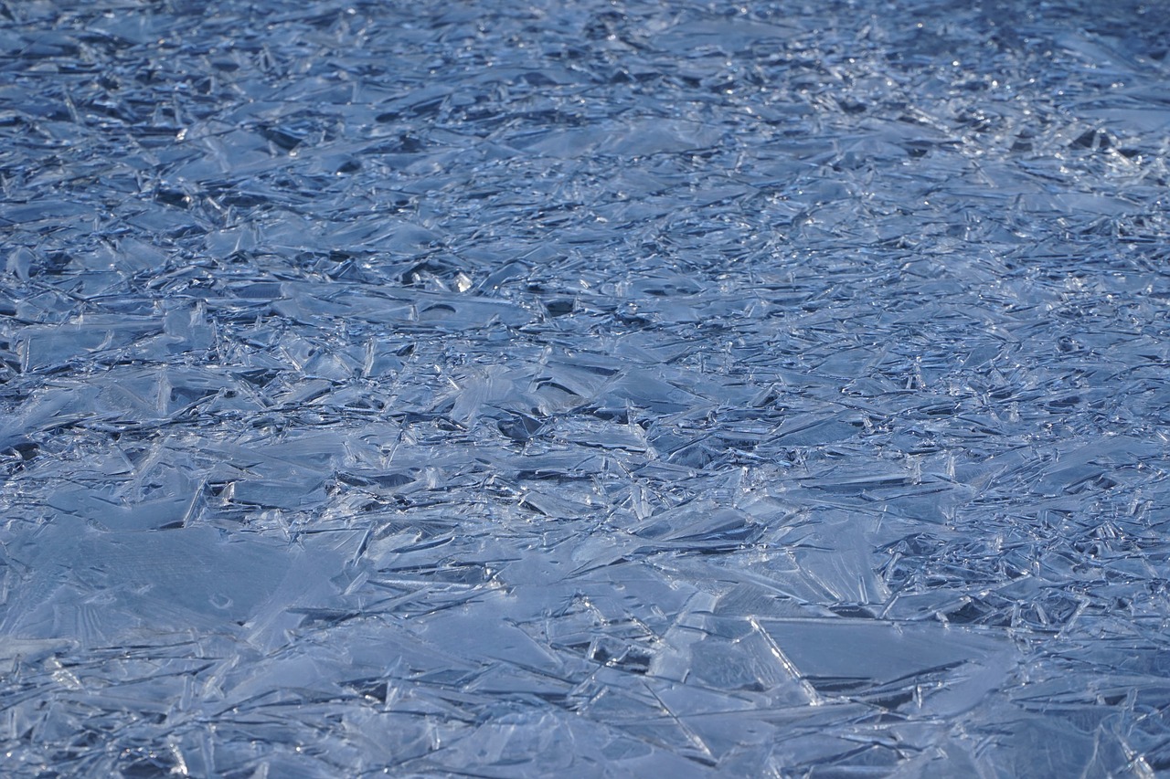 ice frost crystals free photo