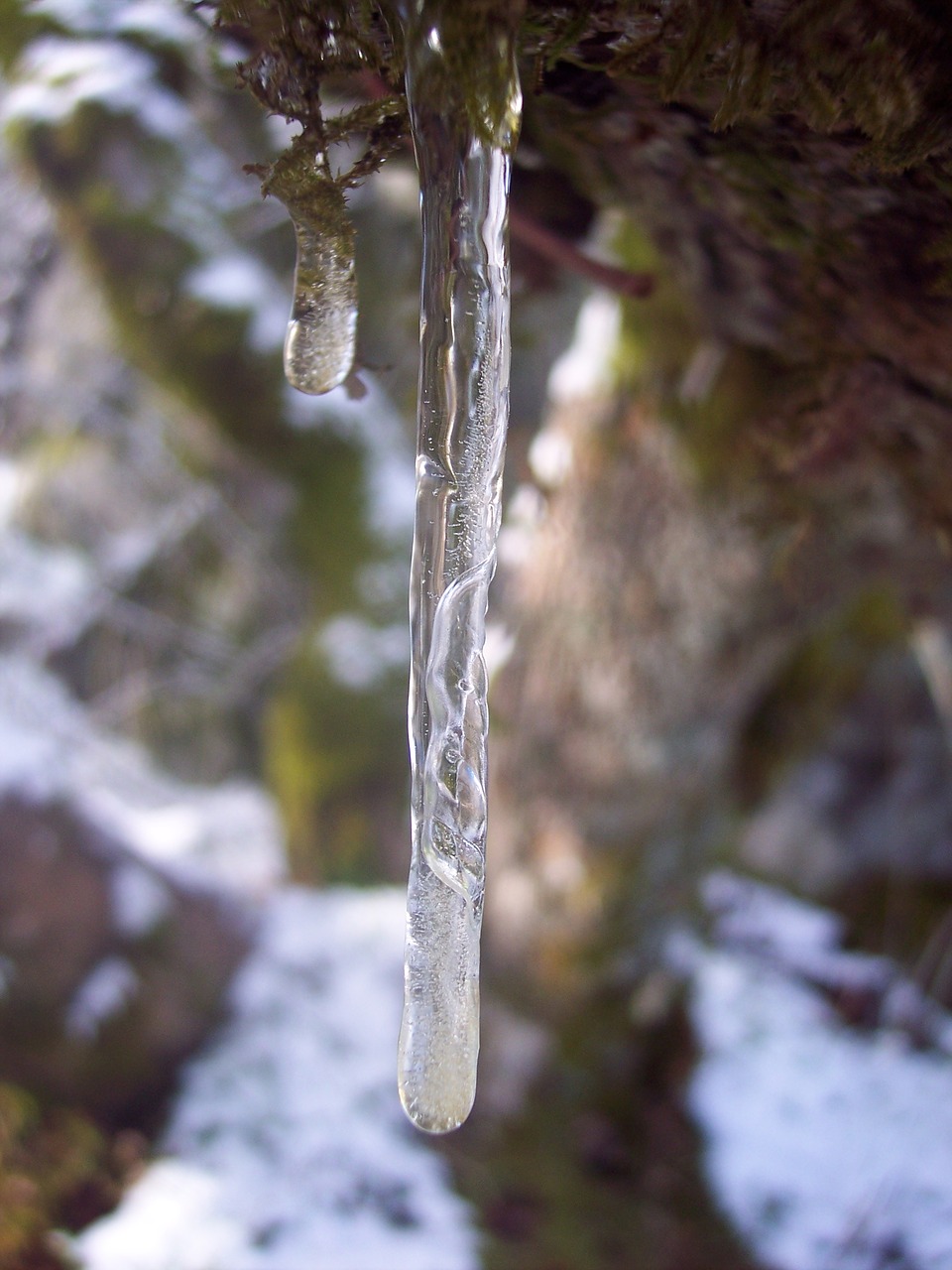 icicle ice snow free photo