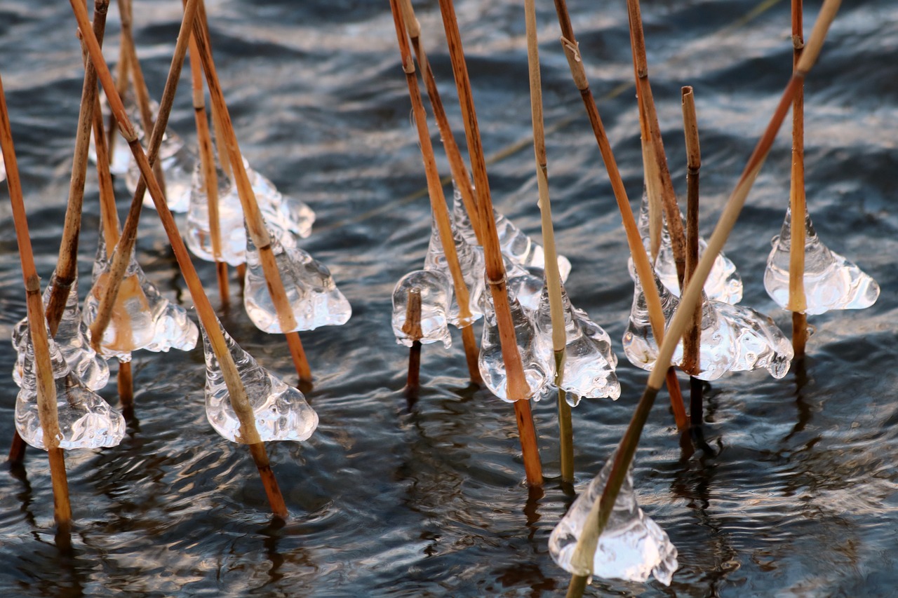 ice water lake free photo