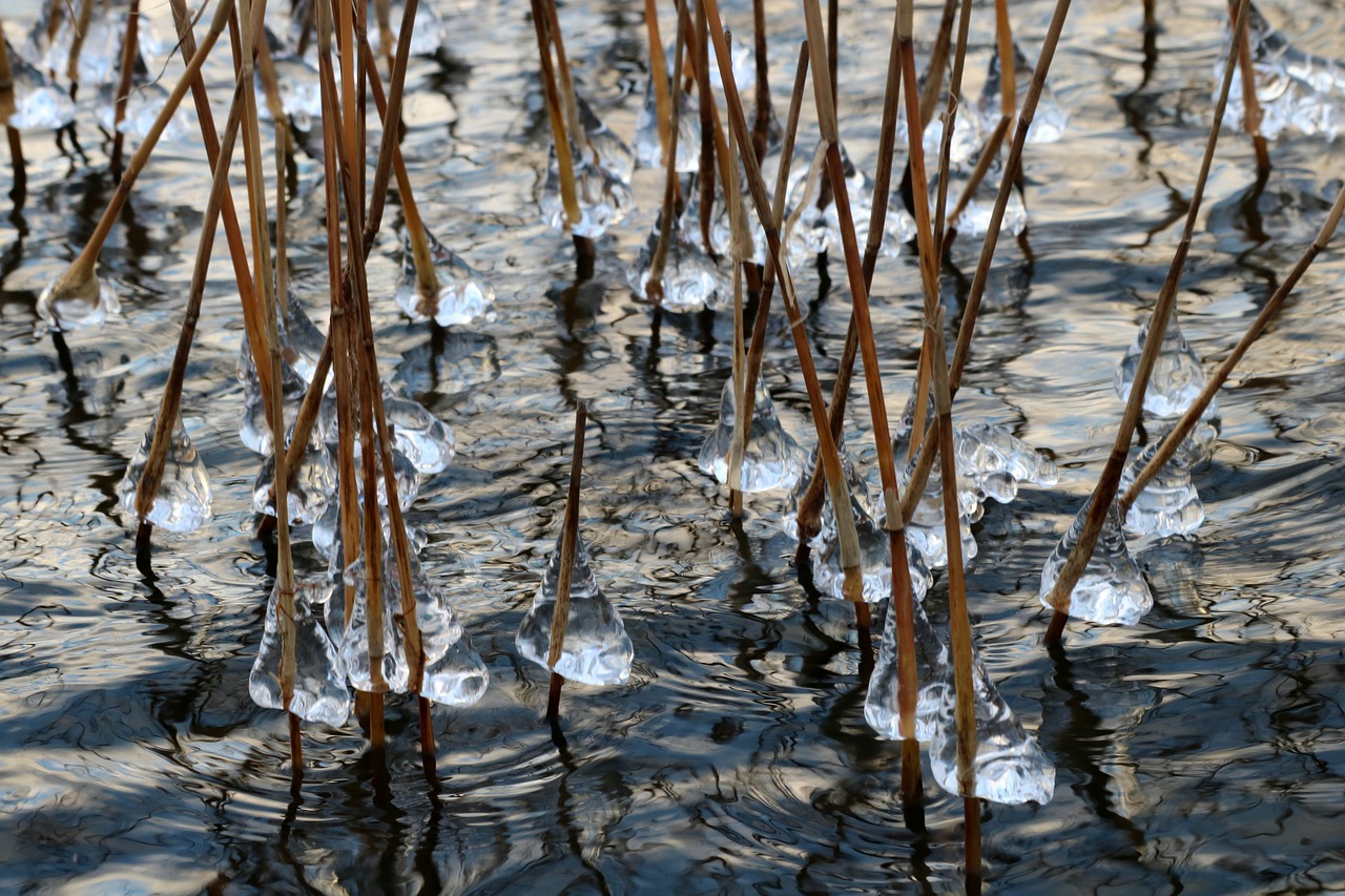 ice water lake free photo