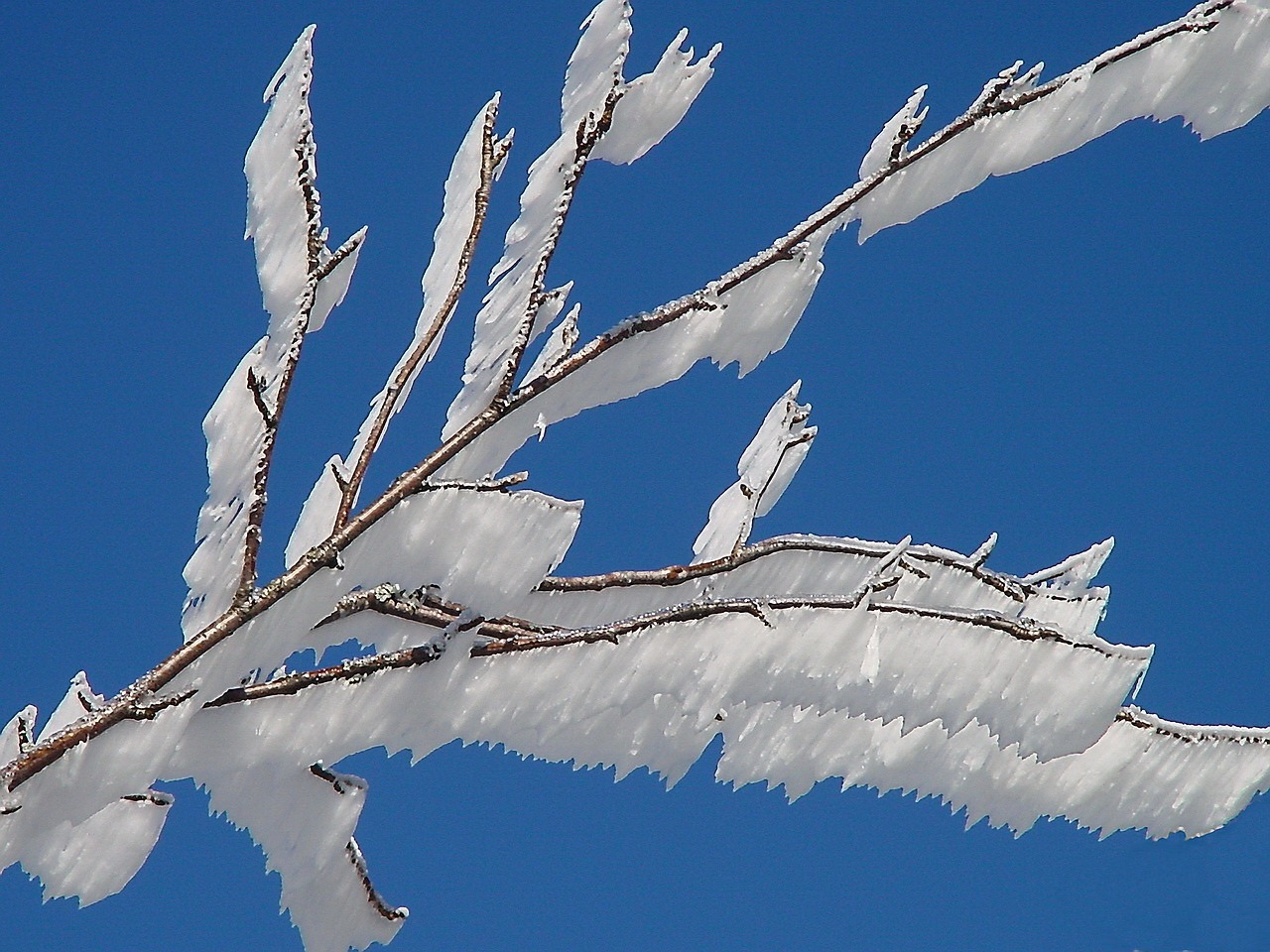 ice hoarfrost aesthetic free photo