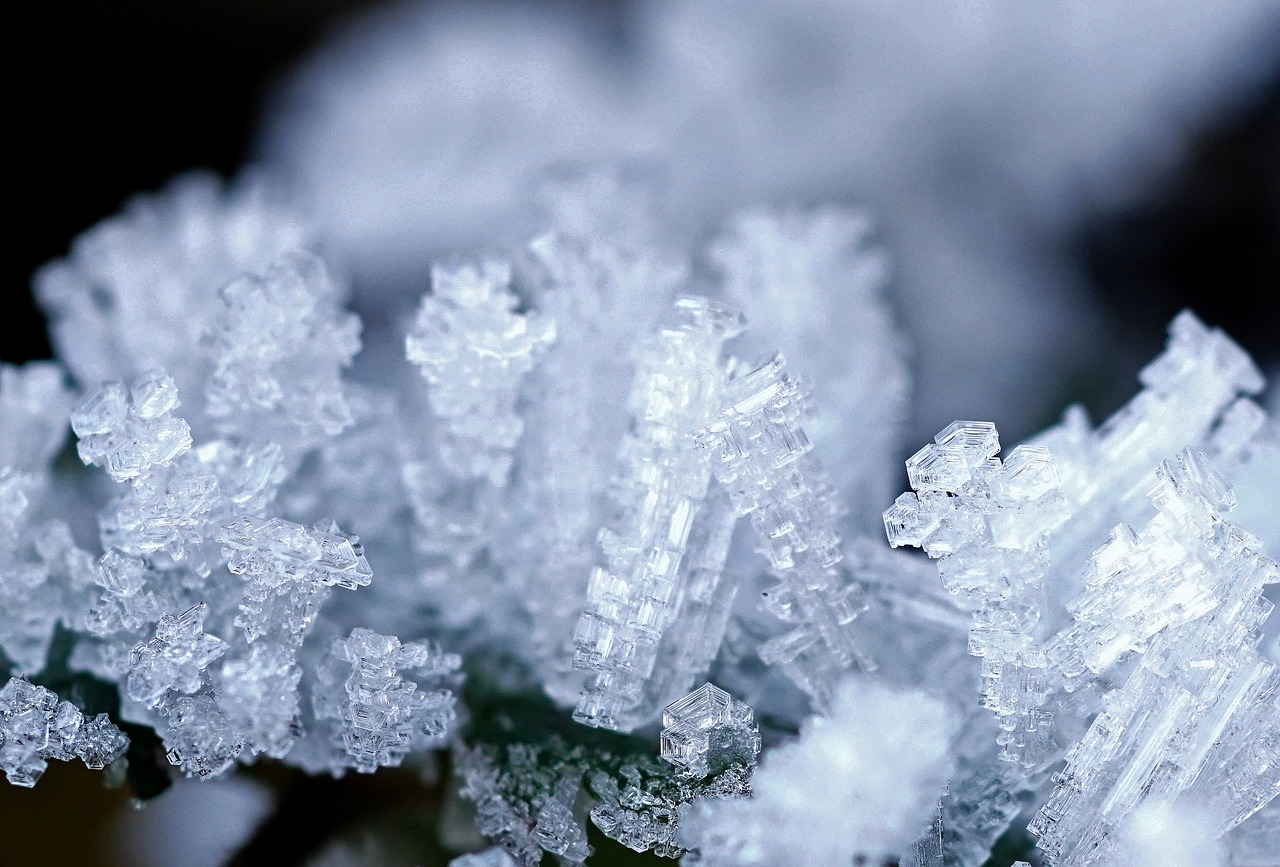 ice ripe hoarfrost free photo