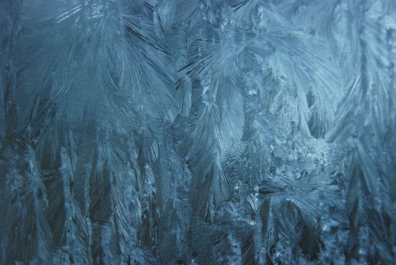 ice eiskristalle window free photo