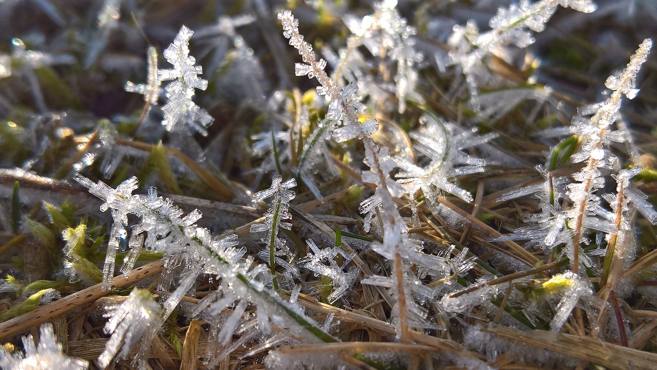 ice snow frost free photo