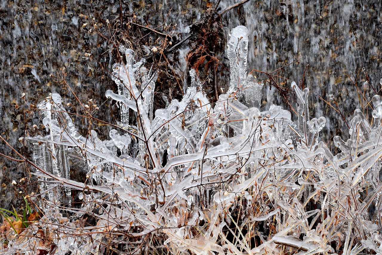 ice crystals freezing free photo