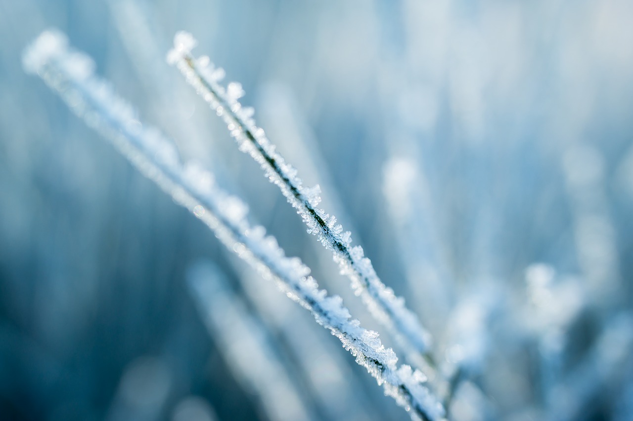 ice eiskristalle frost free photo